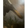 Tableau \"Oiseau\" signée S. BLACKBURN