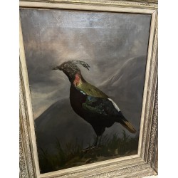 Tableau \"Oiseau\" signée S. BLACKBURN