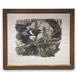 Xylographie \"Chevêche et pie\" par Robert HAINARD