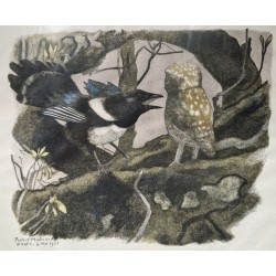 Gravure "Chevêche et pie" par Robert HAINARD