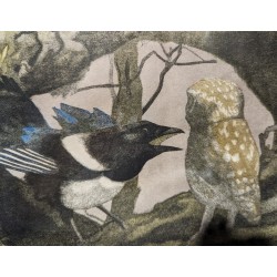 Xylographie \"Chevêche et pie\" par Robert HAINARD
