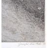 Gravure "Napoléon Bonaparte à la Malmaison"
