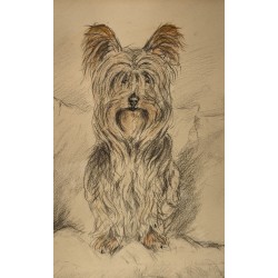 Dessin "Basil" signé F. DE PORET 1991