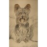 Dessin "Basil" signé F. DE PORET 1991