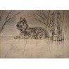 Dessin "Basil" signé F. DE PORET 1991