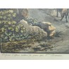 Engraving ‘Lake Lauwertz’ by BIRMANN