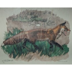Gravure "Renard passant" signée Robert HAINARD