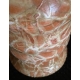 Vase balustre en céramique craquelée orange