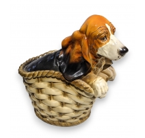 Basset dans un panier en céramique