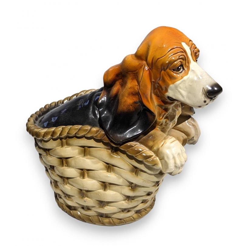 Basset dans un panier en céramique