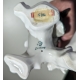 Cacatoès en porcelaine Karl ENS