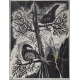 Gravure "Petit printemps pour les Tétras-Lyres"