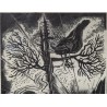 Gravure "Petit printemps pour les Tétras-Lyres"