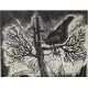 Gravure "Petit printemps pour les Tétras-Lyres"