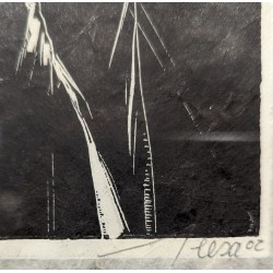 Gravure "Petit printemps pour les Tétras-Lyres"