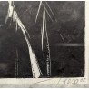 Gravure "Petit printemps pour les Tétras-Lyres"