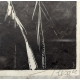 Gravure "Petit printemps pour les Tétras-Lyres"
