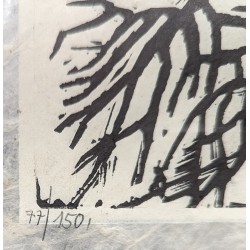 Gravure "Petit printemps pour les Tétras-Lyres"