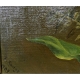 Tableau "Bouquet de fleurs" signé F. ROUGE